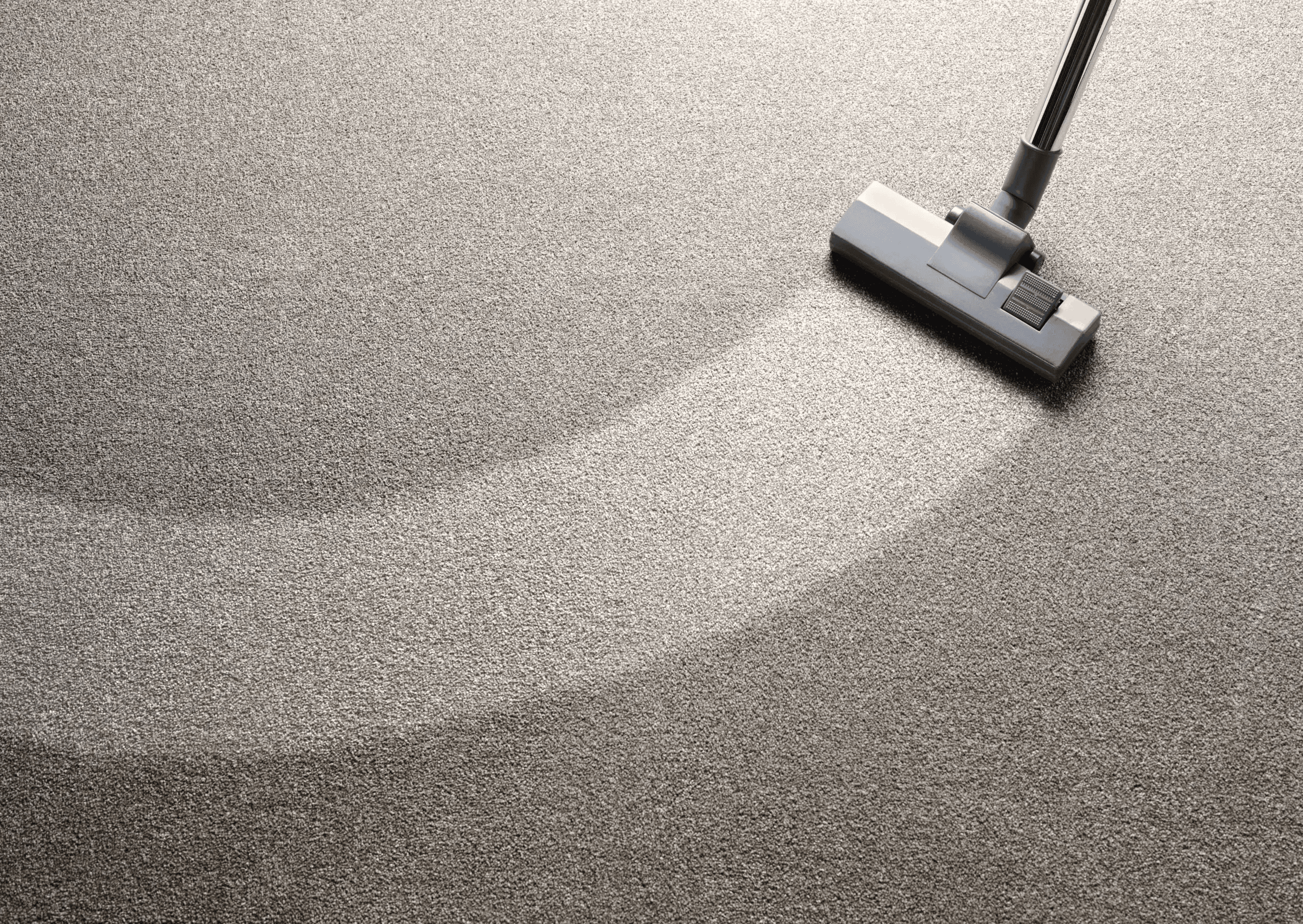 Commercial carpet and upholstery cleaning in Leeds — Benley Cleaning